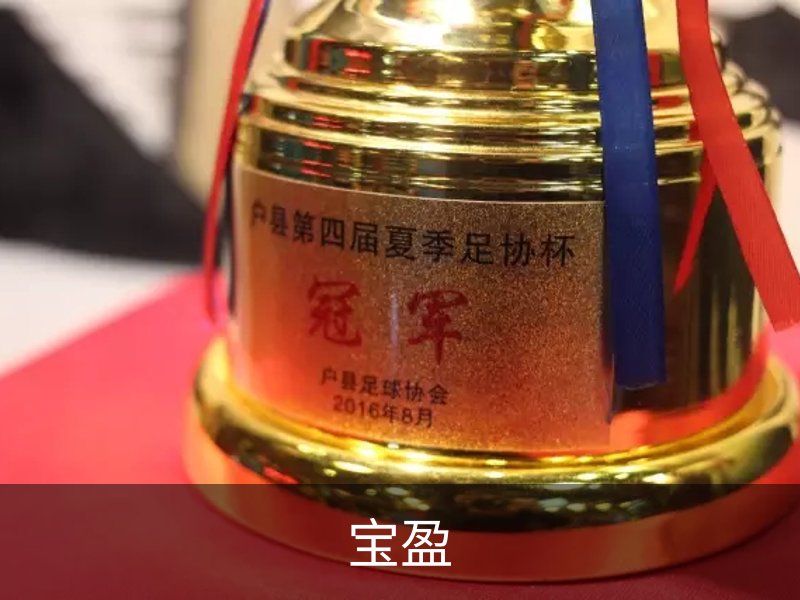 宝盈介绍